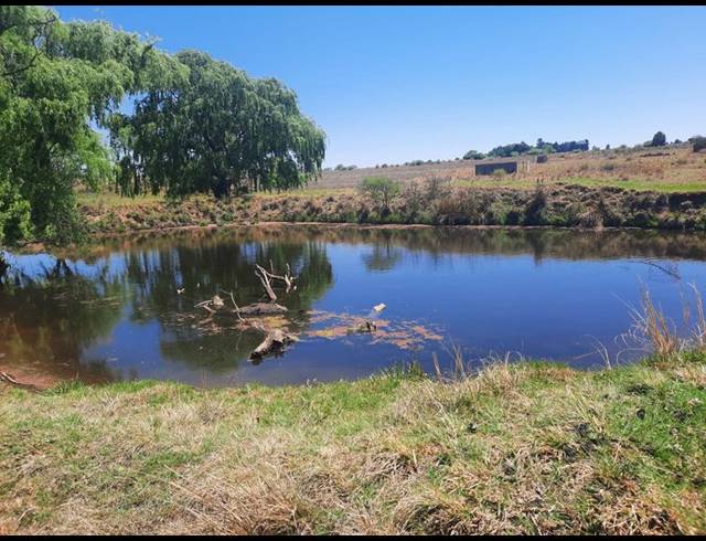 FARM FOR SALE IN RAYTON